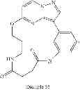 Fig. 294 - Macrocyclic LRRK2 kinase inhibitors