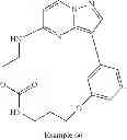 Fig. 303 - Macrocyclic LRRK2 kinase inhibitors