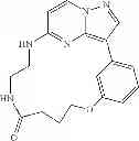 Fig. 40 - Macrocyclic LRRK2 kinase inhibitors