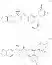 Fig. 55 - Modulators of ATP-binding cassette transporters