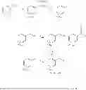 Fig. 99 - Modulators of ATP-binding cassette transporters