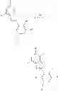Fig. 28 - IMIDAZOPYRIDINE COMPOUNDS, COMPOSITIONS AND METHODS OF USE