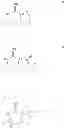 Fig. 32 - Preparation and use of compounds as protease inhibitors