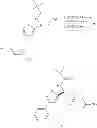 Fig. 83 - Preparation and use of compounds as protease inhibitors
