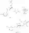 Fig. 85 - Preparation and use of compounds as protease inhibitors