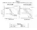 Fig. 02 - Methods for treating amyloidosis with 3-(4-amino-1-oxo-1,3-dihydroisoindol-2-yl)-piperidine-2,6-dione