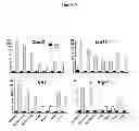 Fig. 06 - Methods and materials for reducing the severity of viral infections