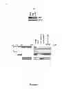 Fig. 02 - Androgen receptor-dependent gene expression control