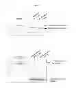 Fig. 08 - SIGNAL-SENSOR POLYNUCLEOTIDES