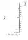 Fig. 03 - Nucleic acid molecule encoding target antibodies directed to DLL4