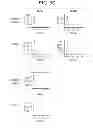 Fig. 09 - Nucleic acid molecule encoding target antibodies directed to DLL4