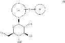 Fig. 19 - Process for the preparation of compounds useful as inhibitors of SGLT-2