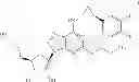 Fig. 02 - Process for Preparing Cyclopentylamine Derivatives and Intermediates Thereof
