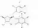 Fig. 09 - Process for Preparing Cyclopentylamine Derivatives and Intermediates Thereof