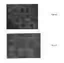 Fig. 02 - Fluorescent dye