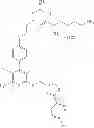 Fig. 33 - Dipeptoid prodrugs and their use