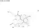 Fig. 02 - Mangromicin compound and production method therefor