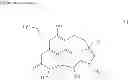 Fig. 06 - Mangromicin compound and production method therefor