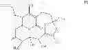 Fig. 08 - Mangromicin compound and production method therefor