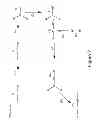 Fig. 03 - Synthetic navel orangeworm pheromone composition and methods relating to production of same