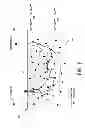 Fig. 03 - Deep tissue flowmetry using diffuse speckle contrast analysis