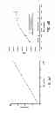 Fig. 07 - Deep tissue flowmetry using diffuse speckle contrast analysis
