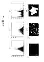 Fig. 05 - Ultrasonic diagnostic arrangements selecting parameters for selecting relevant estimation data for classifying an elasticity image