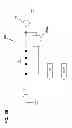 Fig. 06 - VIBRATION APPARATUS FOR STIMULATING PARANASAL SINUSES