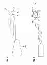 Fig. 09 - VIBRATION APPARATUS FOR STIMULATING PARANASAL SINUSES