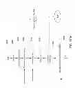 Fig. 149 - Adhesive and Peripheral Systems and Methods for Medical Devices