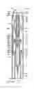 Fig. 01 - Automatic injection device