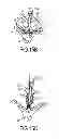 Fig. 11 - GRIPPER PUSHER MECHANISM FOR TISSUE APPOSITION SYSTEMS