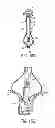 Fig. 12 - GRIPPER PUSHER MECHANISM FOR TISSUE APPOSITION SYSTEMS