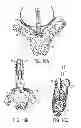 Fig. 30 - GRIPPER PUSHER MECHANISM FOR TISSUE APPOSITION SYSTEMS