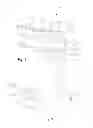 Fig. 07 - Limited Collapse Surgical Screws