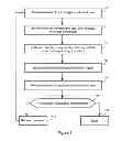 Fig. 08 - LASER METHOD FOR TREATING HYPERHIDROSIS TARGETING SWEAT GLANDS