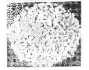 Fig. 01 - Porous biocompatible polymer material and methods