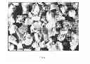 Fig. 03 - Porous biocompatible polymer material and methods
