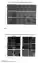 Fig. 04 - Method of forming a tissue scaffold
