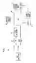 Fig. 02 - Concise dynamic grammars using N-best selection
