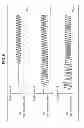 Fig. 09 - GENERATION METHOD OF AUDIO SIGNAL, AUDIO SYNTHESIZING DEVICE
