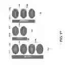 Fig. 20 - HEALTH MANAGEMENT SYSTEM
