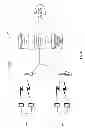 Fig. 07 - SYSTEMS AND METHODS FOR SELECTIVELY PROVIDING MESSAGES IN TELECOMMUNICATIONS SYSTEMS