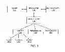 Fig. 02 - Method and system for payment authorization and card presentation using pre-issued identities
