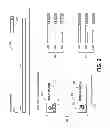 Fig. 03 - RECRUITING SERVICE GRAPHICAL USER INTERFACE