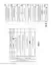 Fig. 09 - List digest operation dispersed storage network frame