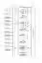 Fig. 01 - Extender storage pool system