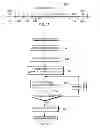 Fig. 06 - Vector Galois Field Multiply Sum and Accumulate instruction