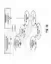 Fig. 20 - Instruction and logic to monitor loop trip count and remove loop optimizations