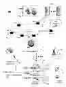 Fig. 01 - System and method for metamorphic content generation
